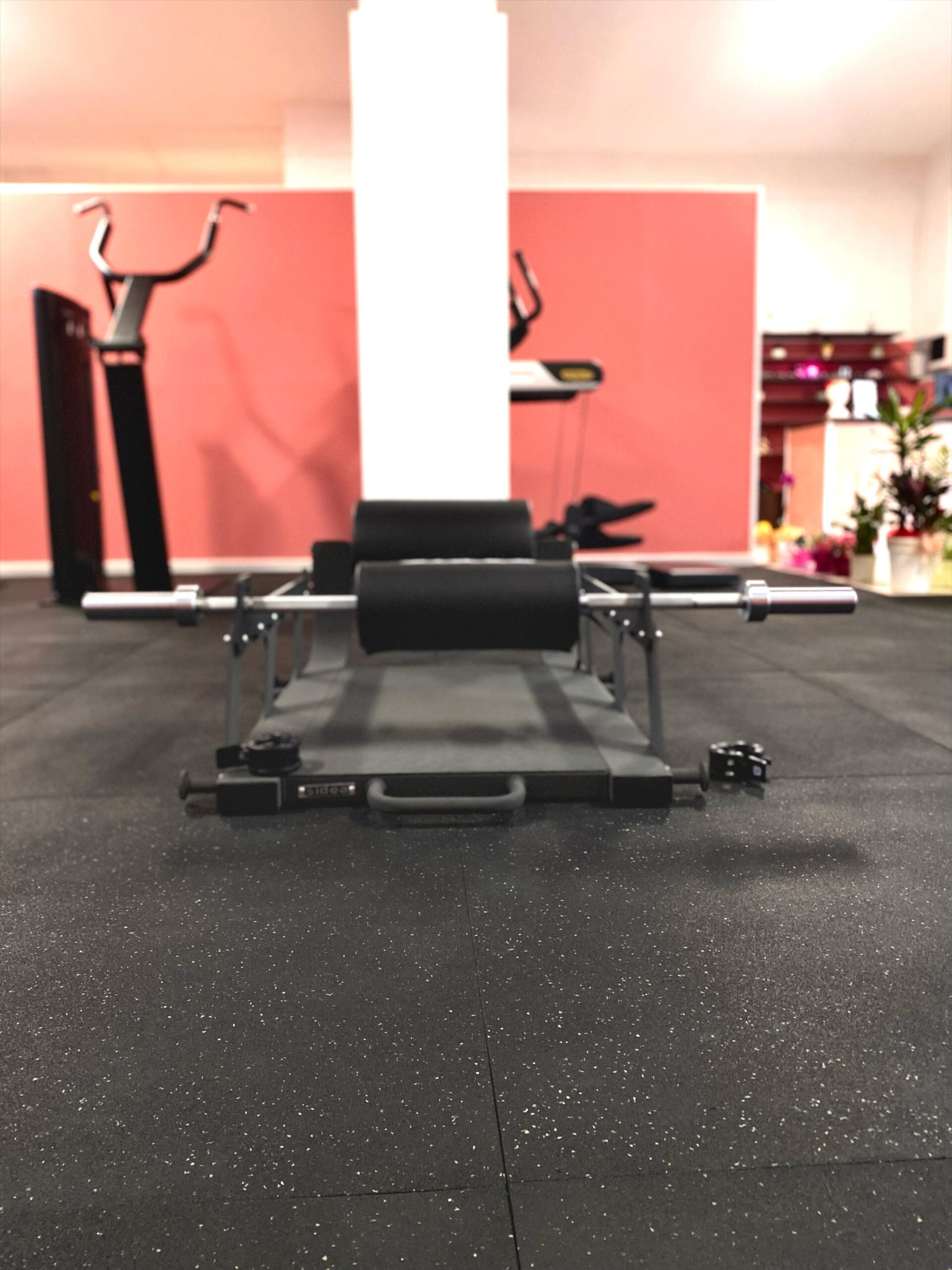 Waves Gym