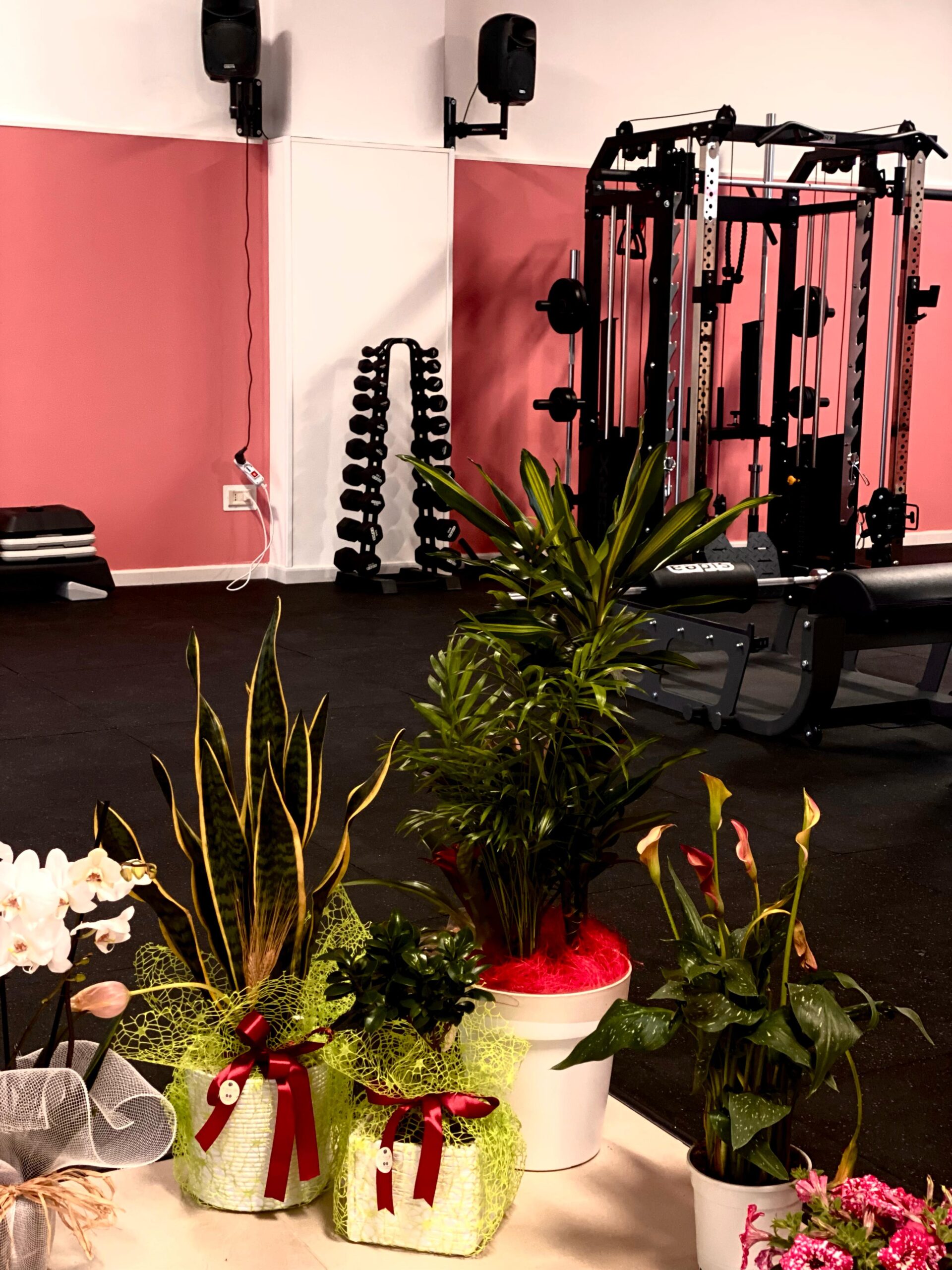 Waves Gym